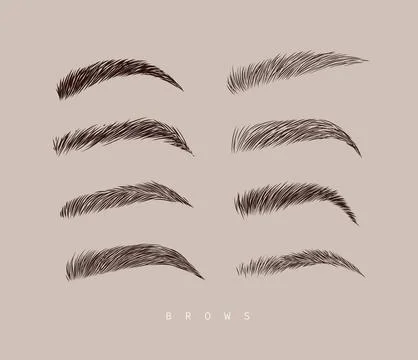 Eyebrows collection beige Stock Illustration
