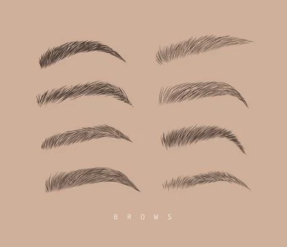 Eyebrows collection brown Stock Illustration