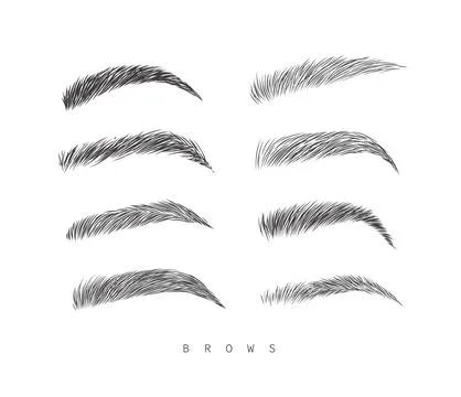 Eyebrows collection white Stock Illustration
