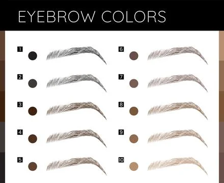 Eyebrows Colors Make Up Illustration Stock Illustration