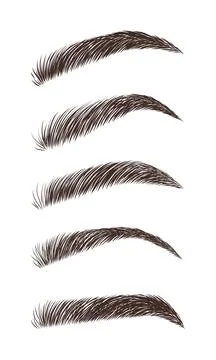 Eyebrows in different shapes. Linear vector Illustration in trendy minimalist Stock Illustration