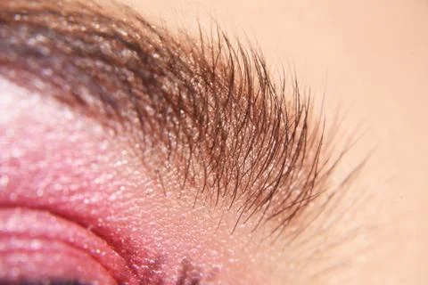 Eyebrows Macro. Close up of eye with beautiful brown with pink shades smokey  Stock Photos
