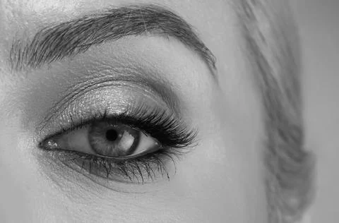 Eyebrows shape. Close up of woman getting eyebrow make-up. Macro applying Stock Photos