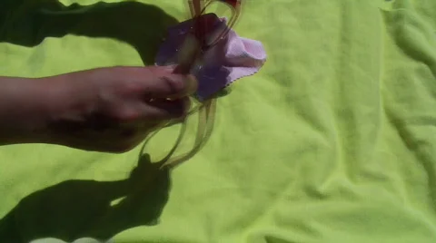 Eyeglass Stock Footage 458306