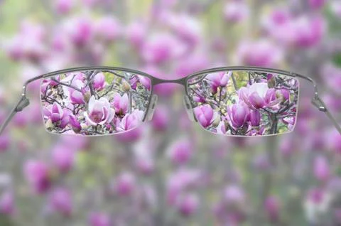 Eyeglasses Stock Photos
