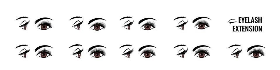 Eyelash extension. False lash shape for doll look. Eye style infographic. Makeup 库存插图
