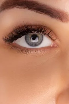 Eyelash Extension Procedure. Close up view of beautiful female eye with long Stock Photos