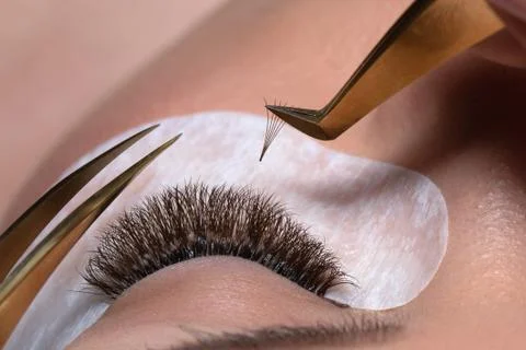 Eyelash Extension Procedure. False lashes ready in tweezers Stock Photos