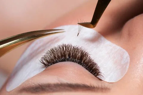 Eyelash Extension Procedure. False lashes ready in tweezers Stock Photos