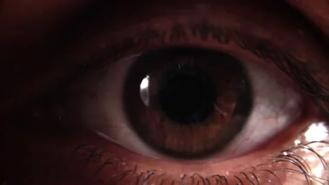Eyelid opens eye looking at camera without any blink Stock Footage 195917805