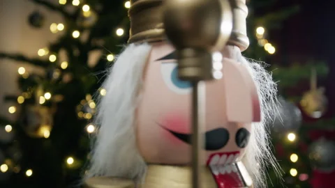 The eyes and face of a Nutcracker Stock Footage 257527609