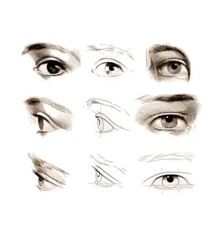 Eyes, artwork Stock Illustration