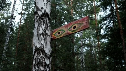 Eyes on the blackboard in the forest Video stock 144043749