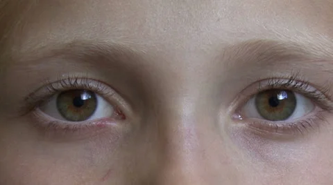 Eyes blink Stock Footage 39880483