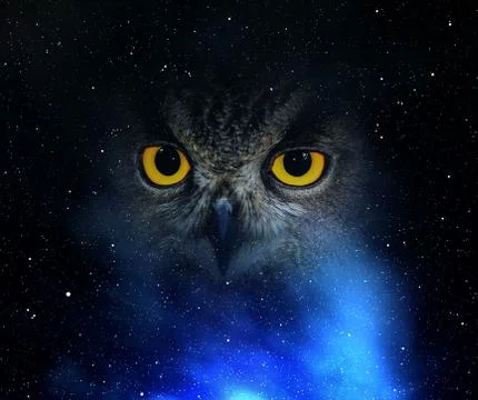 Eyes eagle owl Stock Photos