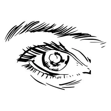 Eyes Stock Illustration