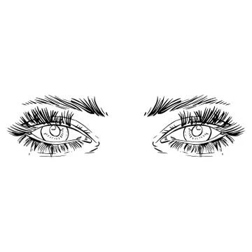 Eyes Stock Illustration