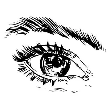 Eyes Stock Illustration