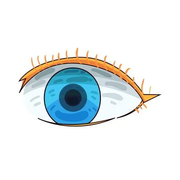Eyes illustration Stock Illustration