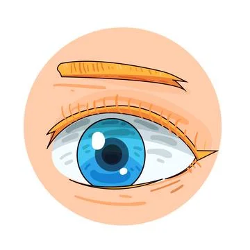Eyes illustration Stock Illustration
