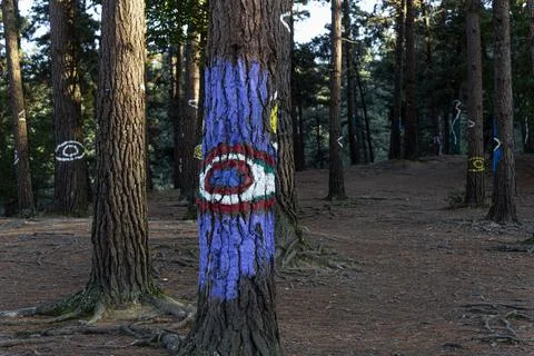 Eyes painted in trees Stock Photos