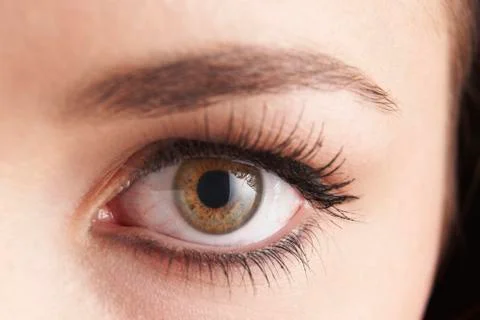 Eyes Stock Photos