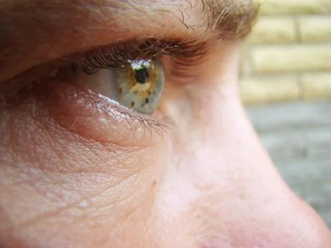 Eyes Stock Photos