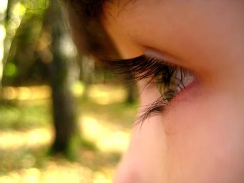 Eyes Stock Photos