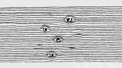 Eyes on the stripes Video stock 304415945
