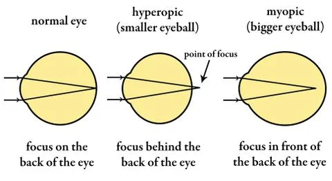Eyesight Stock Illustration