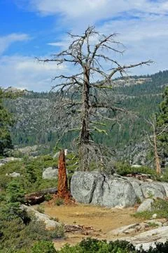 Eyewitness Foto stock