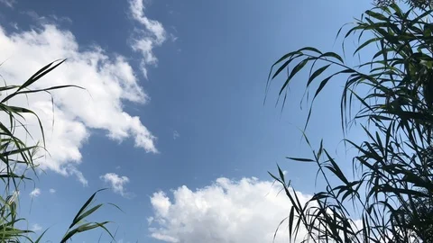 Eymir Lake. Stock Footage 91930873
