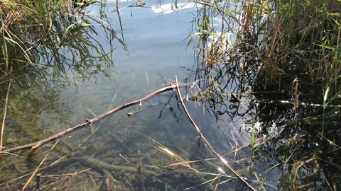 Eymir Lake. Stock Footage 91932328