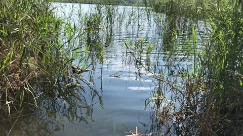 Eymir Lake. Stock Footage 91932597