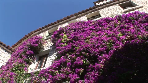 Eze-08 Stock Footage 993617