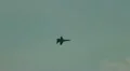 F/A-18 Hornet airshow flight demonstration HD Footage