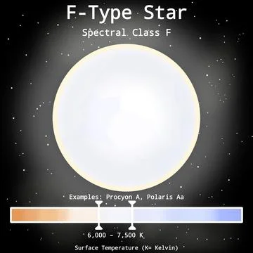 F-Type Star Infographic (Slightly Hotter Than G-Type Star) Stockillustratie