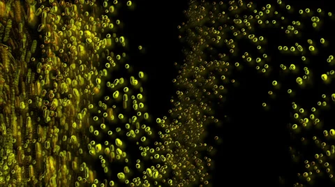 F Vitamin 2 Stock Footage 32788396