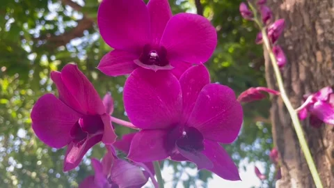 F14 Video stock 326438443