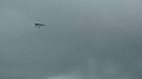 F16 Falcon Видео 507239