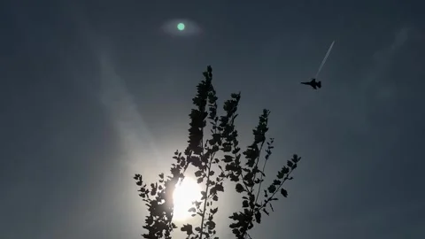 F16 Jet Aerobatics 動画素材 320110874