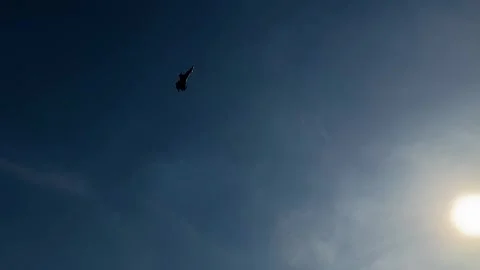 F16 Jet Aerobatics 動画素材 320110896
