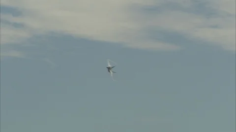 FA/18 Hornet Jet performing during the Miramar Airshow Stock Footage 87529346