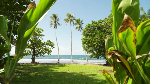 Faaone beach, ocean and view Vídeo Stock 277671875