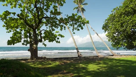 Faaone beach, ocean and view of Tahiti Iti Vídeo Stock 277671876