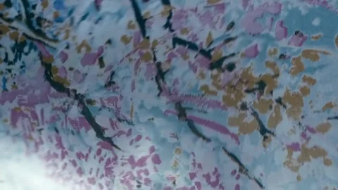 Fabric with a beautiful multi-colored pattern flutters in the wind Stock Footage 297777073