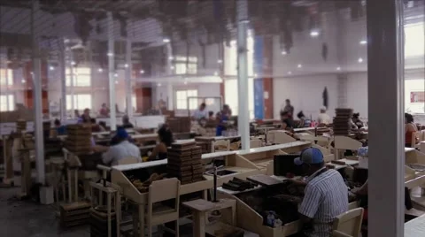 Fabric of Cuban cigars Stock Footage 52848862