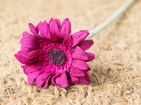 A fabric flower Stock Photos