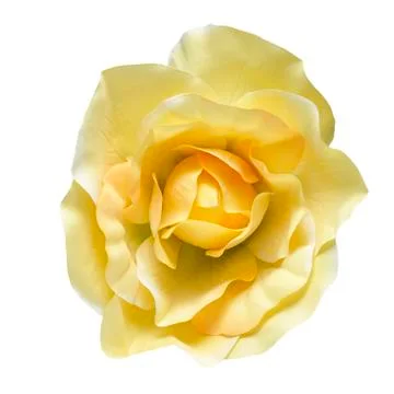 Fabric flower Stock Photos