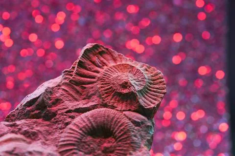 Fabric printed Stock Photos